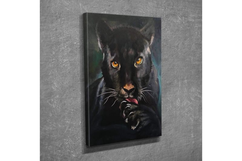 Lærredsbillede - Sort panter med intense øjne, der slikker sin pote - Sort / Guld / Mørkegrøn - Boligtilbehør - Billeder & kunst - Billeder på lærred