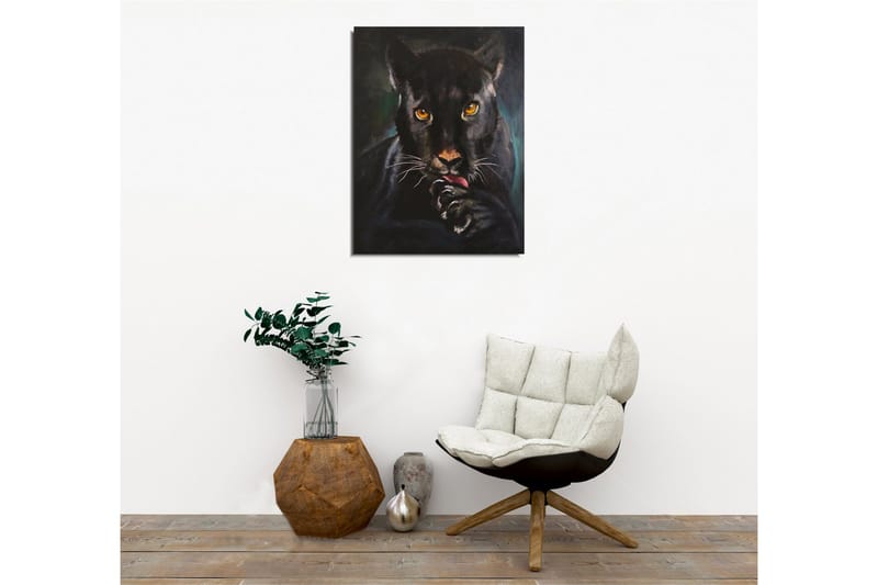 Lærredsbillede - Sort panter med intense øjne, der slikker sin pote - Sort / Guld / Mørkegrøn - Boligtilbehør - Billeder & kunst - Billeder på lærred