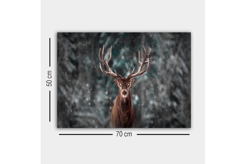 Lærredsbillede - Statslig elg med imponerende gevirer i et snedækket skovmiljø - Brun / Grå / Hvid - Boligtilbehør - Billeder & kunst - Billeder på lærred