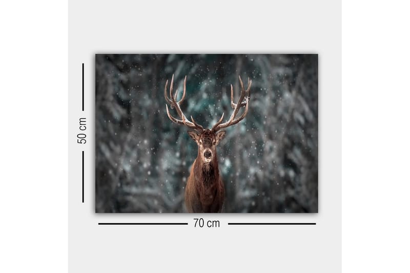 Lærredsbillede - Statslig elg med imponerende gevirer i et snedækket skovmiljø - Brun / Grå / Hvid - Boligtilbehør - Billeder & kunst - Billeder på lærred