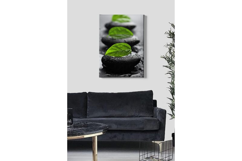 Lærredsbillede - Stenblokke med grønne blade og vanddråber - Sort / Grøn - Boligtilbehør - Billeder & kunst - Billeder på lærred