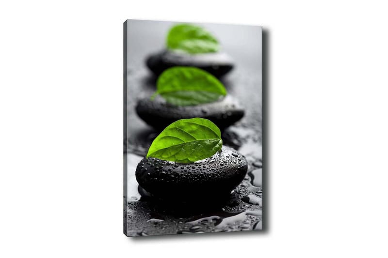 Lærredsbillede - Stenblokke med grønne blade og vanddråber, Sort / Grøn