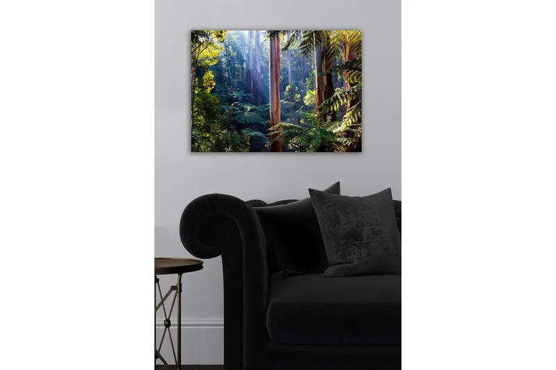 Lærredsbillede - Stille skov med høje eukalyptustræer og frodig vegetation - Grøn / Brun / Gul - Boligtilbehør - Billeder & kunst - Billeder på lærred