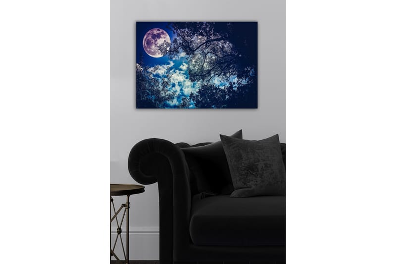 Lærredsbillede - Storslået måne, der skinner over en nattehimmel med trætoppene i silhuet - Mørkeblå / Lyseblå / Hvid - Boligtilbehør - Billeder & kunst - Billeder på lærred
