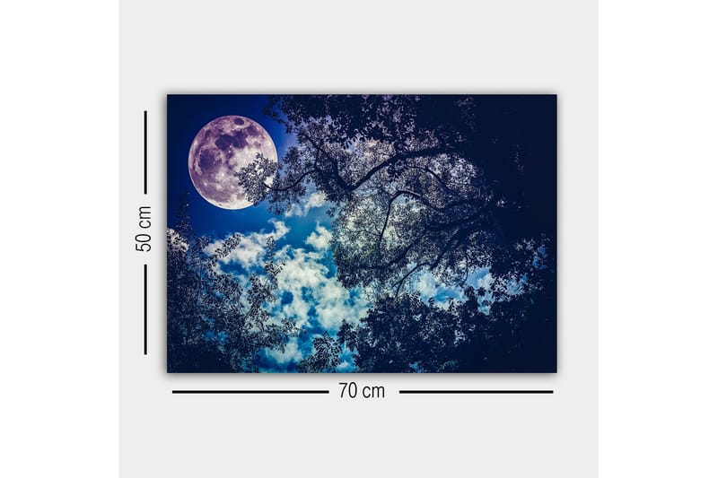 Lærredsbillede - Storslået måne, der skinner over en nattehimmel med trætoppene i silhuet - Mørkeblå / Lyseblå / Hvid - Boligtilbehør - Billeder & kunst - Billeder på lærred
