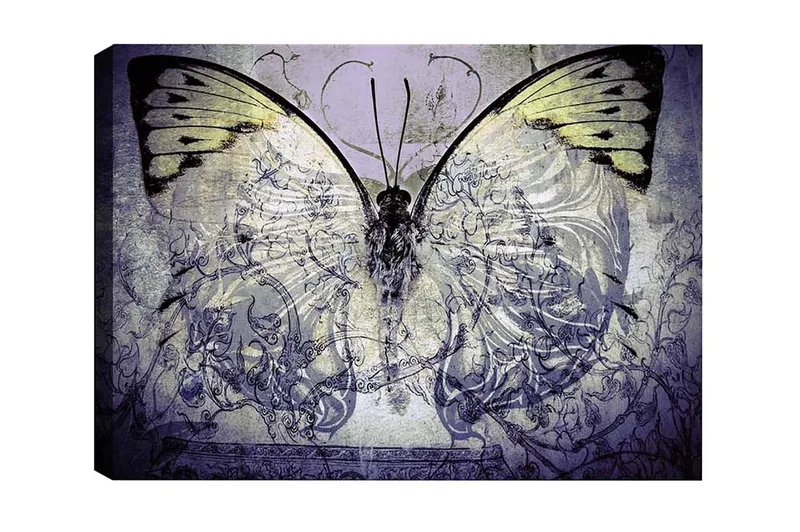 Lærredsbillede - Storslået sommerfugl med indviklede mønstre og detaljer, Lilla / Sort / Grøn