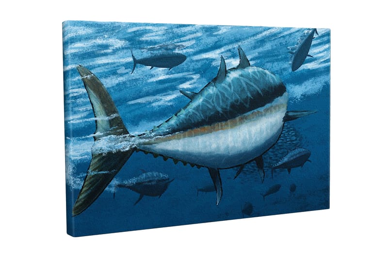 Lærredsbillede - Svømmende tunfisk i dybblåt hav, Mørkeblå / Lyseblå / Hvid