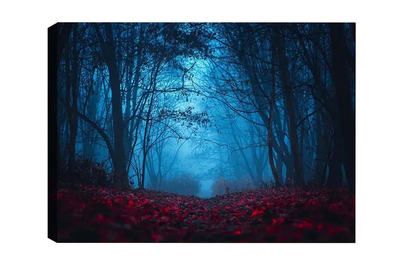 Lærredsbillede - Tåget skov med rødlige blade i en mystisk atmosfære - Mørkeblå / Rød - Boligtilbehør - Billeder & kunst - Billeder på lærred
