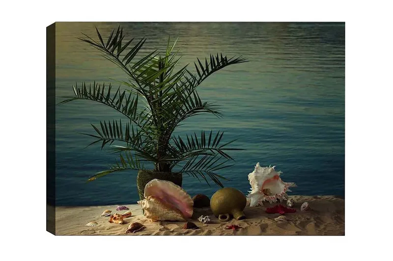 Lærredsbillede - Tropisk ro med palme og skaller ved vandet, Grøn / Beige / Lyserød