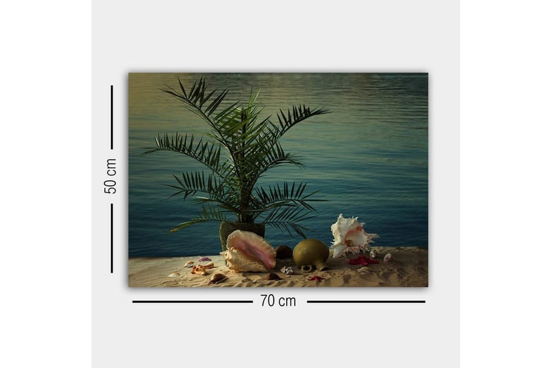 Lærredsbillede - Tropisk ro med palme og skaller ved vandet - Grøn / Beige / Lyserød - Boligtilbehør - Billeder & kunst - Billeder på lærred