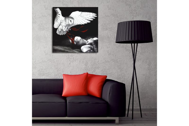Lærredsbillede - Ugle svæver over en sovende person med røde bånd - Hvid / Sort / Rød - Boligtilbehør - Billeder & kunst - Billeder på lærred