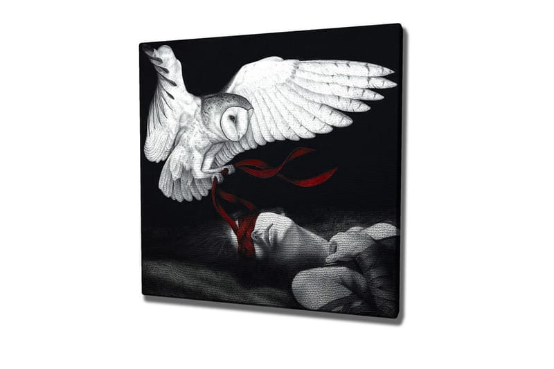 Lærredsbillede - Ugle svæver over en sovende person med røde bånd, Hvid / Sort / Rød