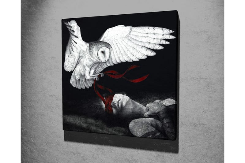 Lærredsbillede - Ugle svæver over en sovende person med røde bånd - Hvid / Sort / Rød - Boligtilbehør - Billeder & kunst - Billeder på lærred
