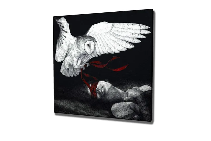 Lærredsbillede - Ugle svæver over en sovende person med røde bånd, Hvid / Sort / Rød