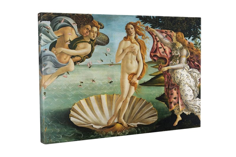 Lærredsbillede - Venus stiger op fra havet på en muslingeskal, Hudtone / Himmelblå / Grøn
