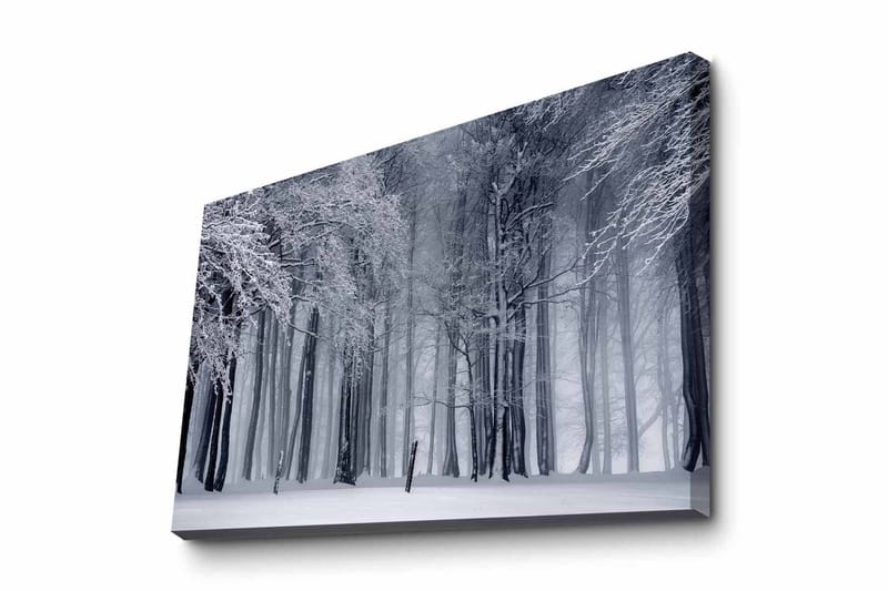 Lærredsbillede - Vinterskov med snedækkede træer, Hvid / Grå / Sort