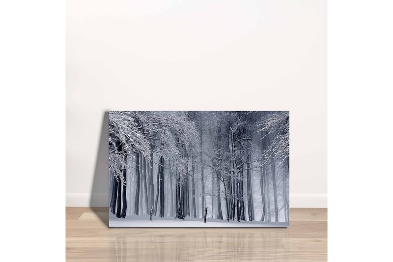 Lærredsbillede - Vinterskov med snedækkede træer - Hvid / Grå / Sort - Boligtilbehør - Billeder & kunst - Billeder på lærred