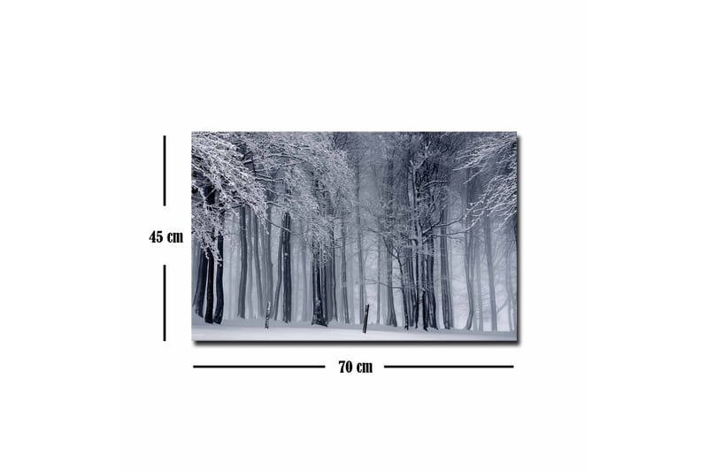 Lærredsbillede - Vinterskov med snedækkede træer - Hvid / Grå / Sort - Boligtilbehør - Billeder & kunst - Billeder på lærred