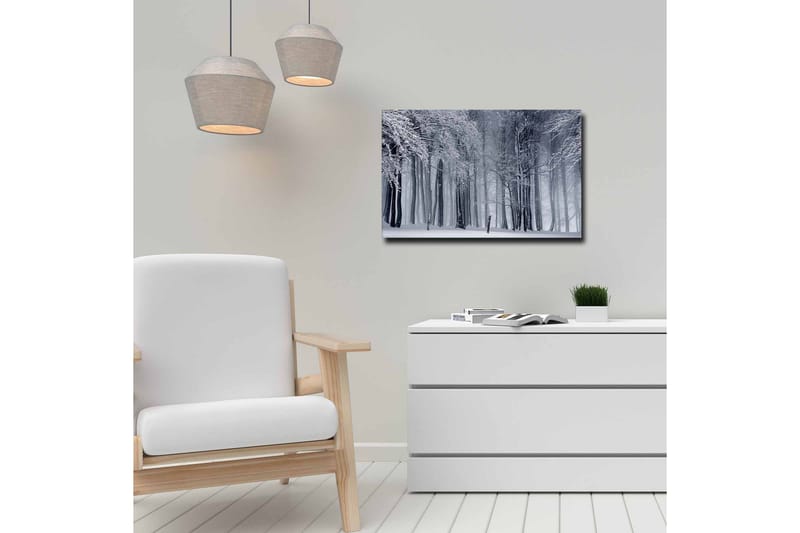 Lærredsbillede - Vinterskov med snedækkede træer - Hvid / Grå / Sort - Boligtilbehør - Billeder & kunst - Billeder på lærred