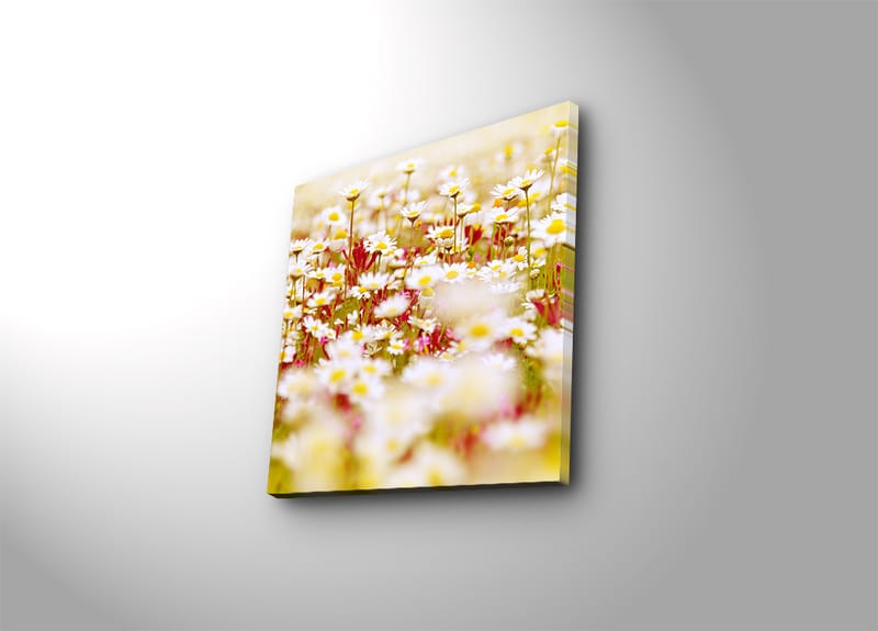 Lærredstryk 45x45 cm - Blomstermark i forskellige nuancer af hvid og gul, Hvid / Gul / Grøn