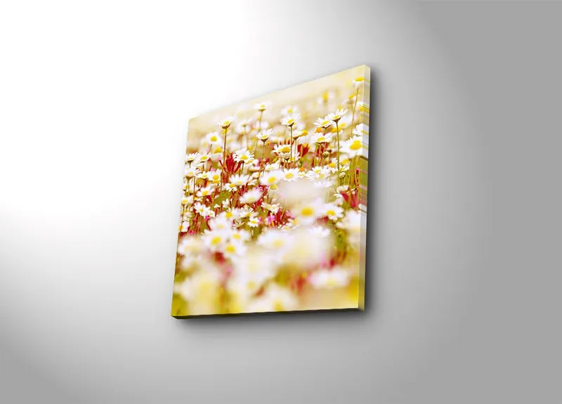 Lærredstryk 45x45 cm - Blomstermark i forskellige nuancer af hvid og gul, Hvid / Gul / Grøn