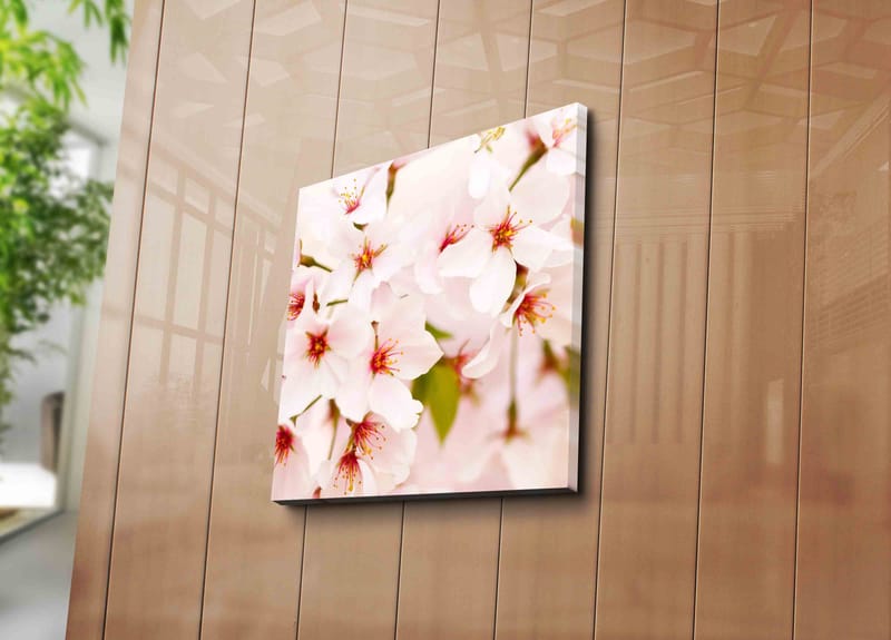 Lærredstryk 45x45 cm - Blomstrende kirsebærblomster i pastelfarver - Lys pink / Hvid / Grøn - Boligtilbehør - Billeder & kunst - Billeder på lærred