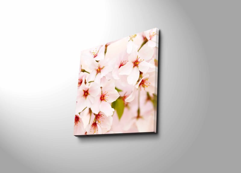 Lærredstryk 45x45 cm - Blomstrende kirsebærblomster i pastelfarver, Lys pink / Hvid / Grøn
