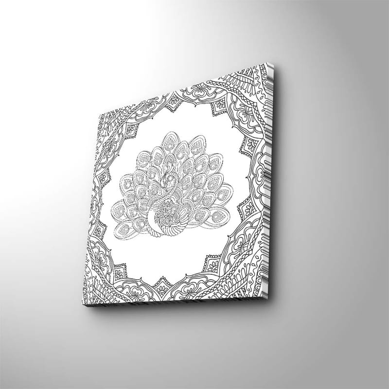 Lærredstryk 45x45 cm - Detaljeret fjerdragt af en påfugl i en udsmykket ramme - Sort / Hvid - Boligtilbehør - Billeder & kunst - Billeder på lærred