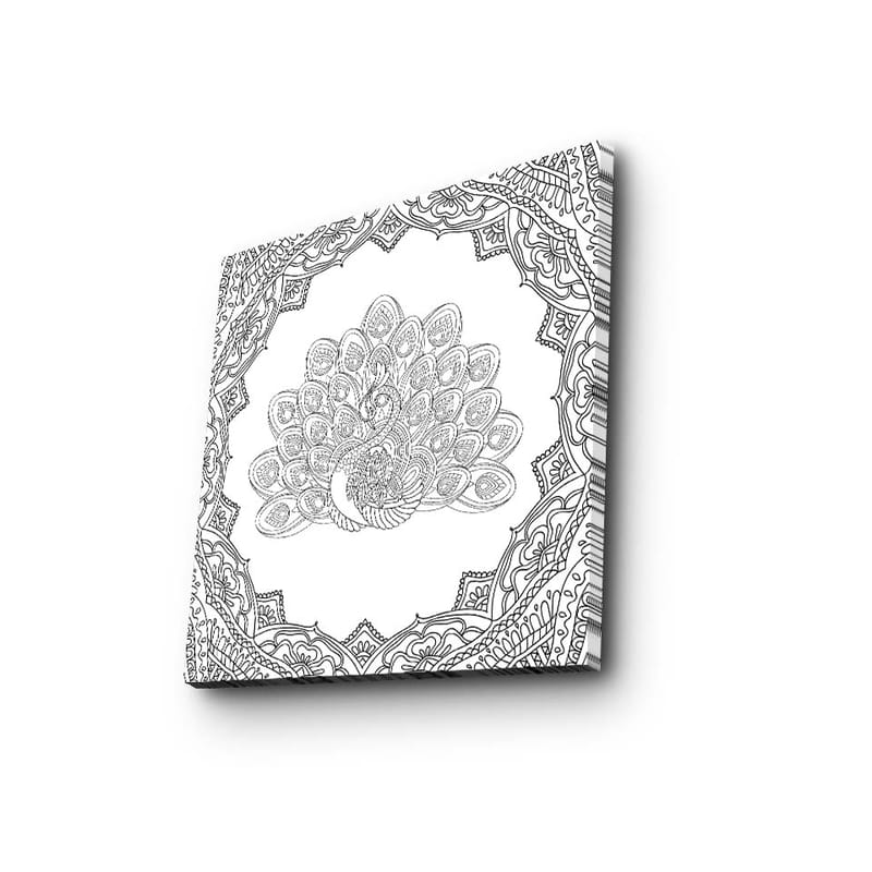 Lærredstryk 45x45 cm - Detaljeret fjerdragt af en påfugl i en udsmykket ramme - Sort / Hvid - Boligtilbehør - Billeder & kunst - Billeder på lærred