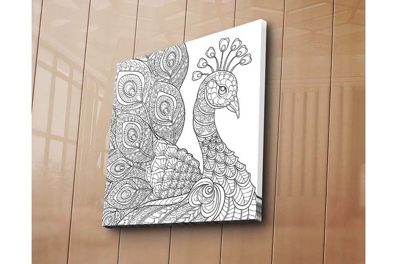 Lærredstryk 45x45 cm - Detaljeret fjerkræ med indviklede mønstre - Sort / Hvid - Boligtilbehør - Billeder & kunst - Billeder på lærred