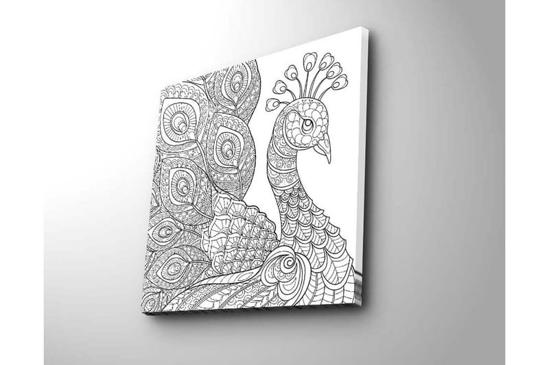 Lærredstryk 45x45 cm - Detaljeret fjerkræ med indviklede mønstre - Sort / Hvid - Boligtilbehør - Billeder & kunst - Billeder på lærred