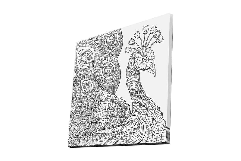 Lærredstryk 45x45 cm - Detaljeret fjerkræ med indviklede mønstre, Sort / Hvid