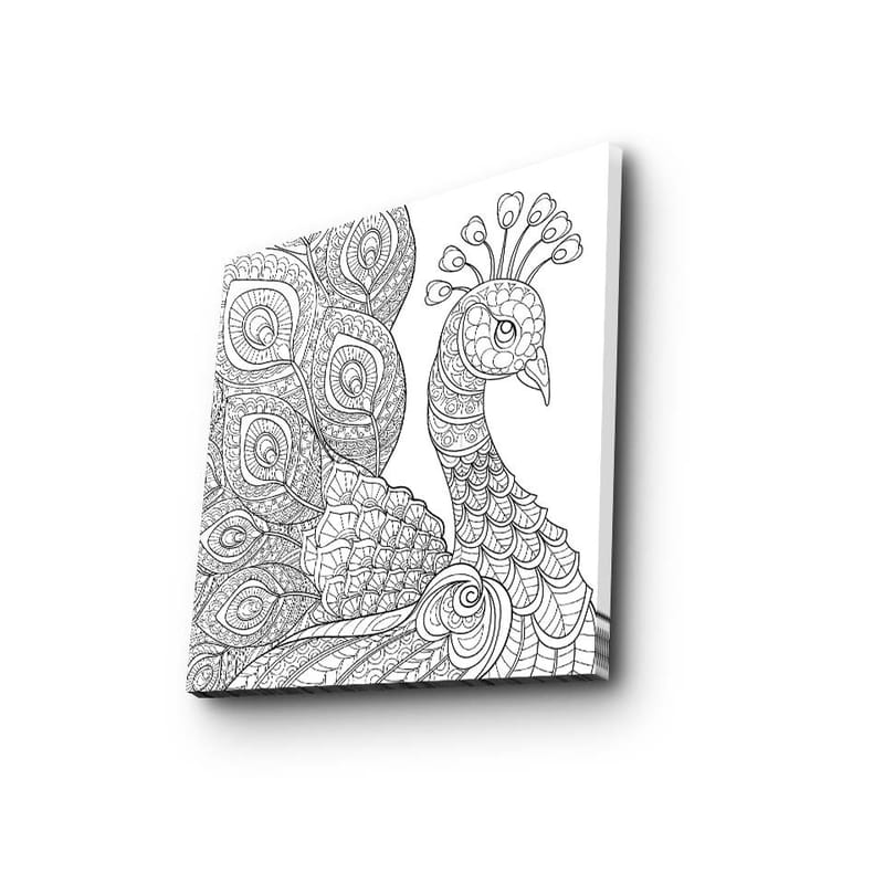 Lærredstryk 45x45 cm - Detaljeret fjerkræ med udsmykkede fjer - Sort / Hvid - Boligtilbehør - Billeder & kunst - Billeder på lærred