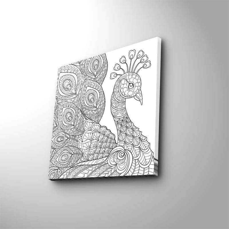 Lærredstryk 45x45 cm - Detaljeret fjerkræ med udsmykkede fjer, Sort / Hvid