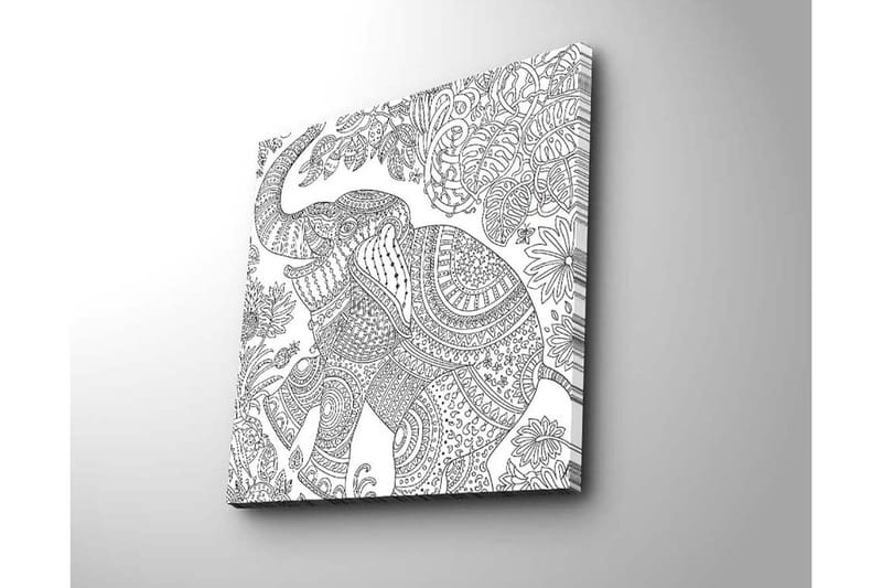 Lærredstryk 45x45 cm - Detaljeret illustration af en elefant omgivet af vegetation - Sort / Hvid - Boligtilbehør - Billeder & kunst - Billeder på lærred