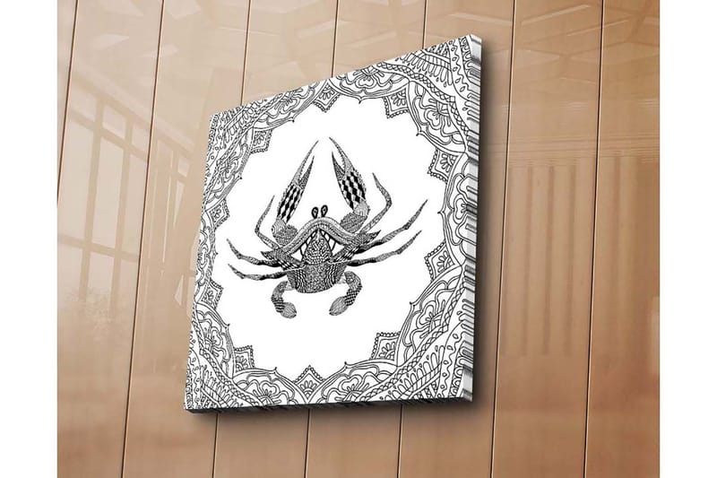 Lærredstryk 45x45 cm - Detaljeret illustration af en krabbe omgivet af ornamentale mønstre - Sort / Hvid - Boligtilbehør - Billeder & kunst - Billeder på lærred