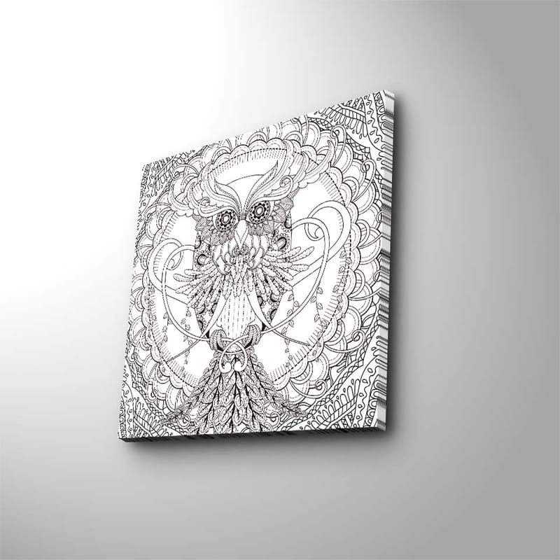 Lærredstryk 45x45 cm - Detaljeret og stiliseret ugle omgivet af ornamentale mønstre, Sort / Hvid