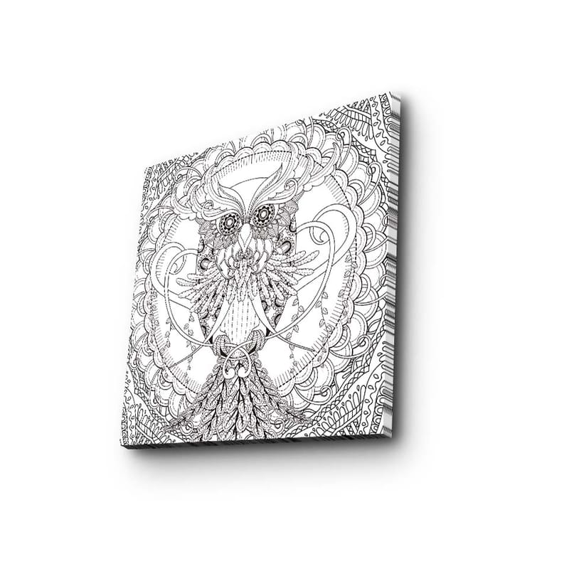 Lærredstryk 45x45 cm - Detaljeret og stiliseret ugle omgivet af ornamentale mønstre - Sort / Hvid - Boligtilbehør - Billeder & kunst - Billeder på lærred