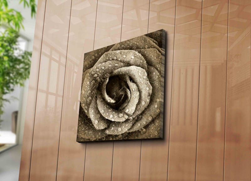 Lærredstryk 45x45 cm - Detaljeret rose med vanddråber - Grå / Beige - Boligtilbehør - Billeder & kunst - Billeder på lærred