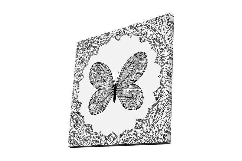Lærredstryk 45x45 cm - Detaljeret sommerfugl omgivet af ornamentale mønstre, Sort / Hvid
