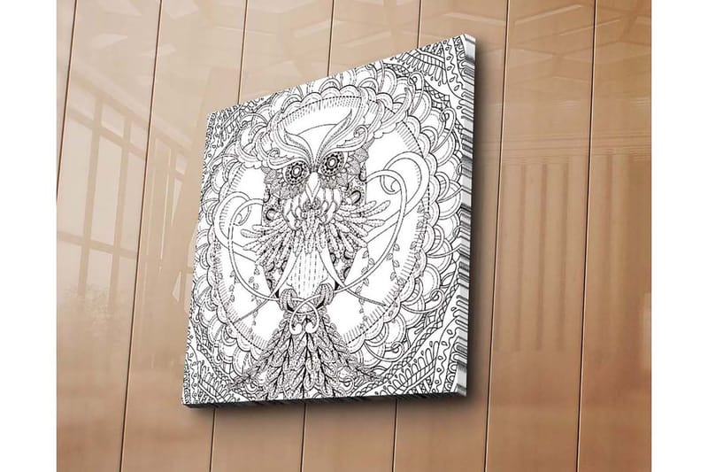 Lærredstryk 45x45 cm - Detaljeret sort-hvid ugle med indviklede mønstre, Sort / Hvid
