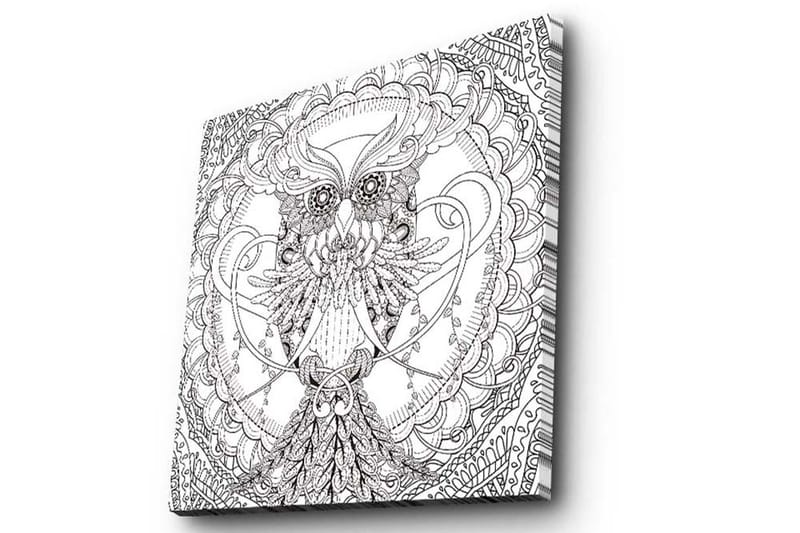 Lærredstryk 45x45 cm - Detaljeret sort-hvid ugle med indviklede mønstre - Sort / Hvid - Boligtilbehør - Billeder & kunst - Billeder på lærred