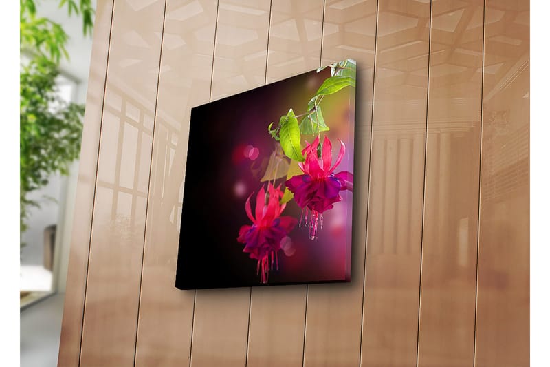 Lærredstryk 45x45 cm - Farverig hængende fuchsia med grønne blade - Lyserød / Lilla / Grøn - Boligtilbehør - Billeder & kunst - Billeder på lærred