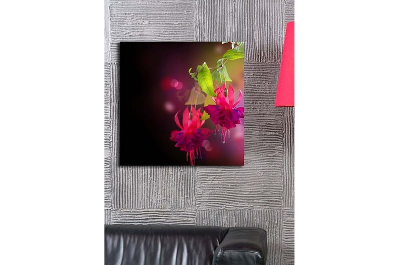 Lærredstryk 45x45 cm - Farverig hængende fuchsia med grønne blade - Lyserød / Lilla / Grøn - Boligtilbehør - Billeder & kunst - Billeder på lærred