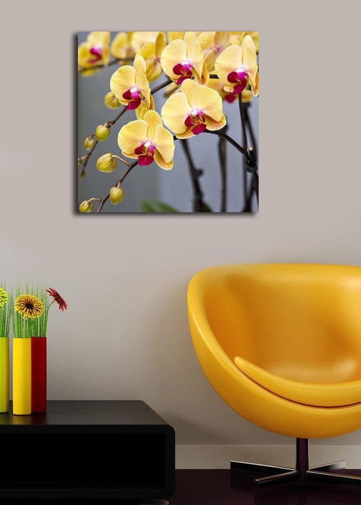Lærredstryk 45x45 cm - Farverig orkidé med gule og lyserøde blomster - Gul / Lyserød - Boligtilbehør - Billeder & kunst - Billeder på lærred