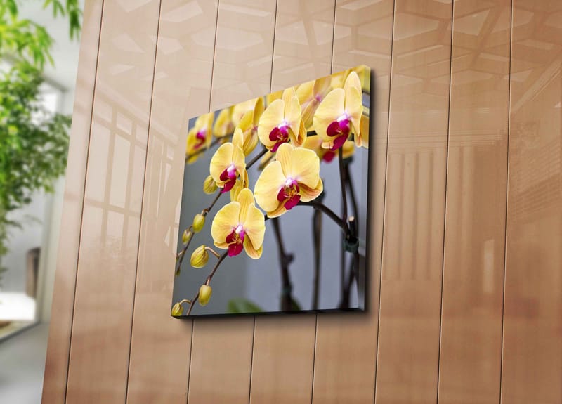 Lærredstryk 45x45 cm - Farverig orkidé med gule og lyserøde blomster - Gul / Lyserød - Boligtilbehør - Billeder & kunst - Billeder på lærred