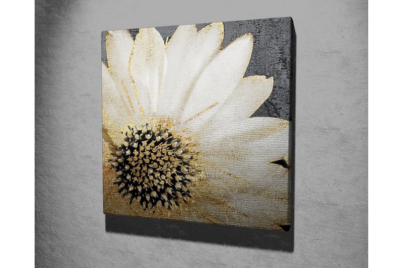 Lærredstryk 45x45 cm - Hvid blomst med sort midte og gyldne detaljer - Hvid / Sort / Guld - Boligtilbehør - Billeder & kunst - Billeder på lærred