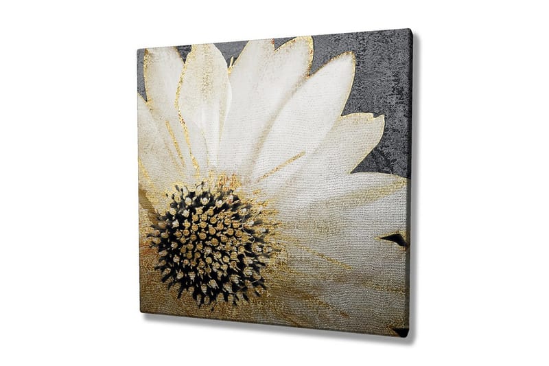 Lærredstryk 45x45 cm - Hvid blomst med sort midte og gyldne detaljer, Hvid / Sort / Guld