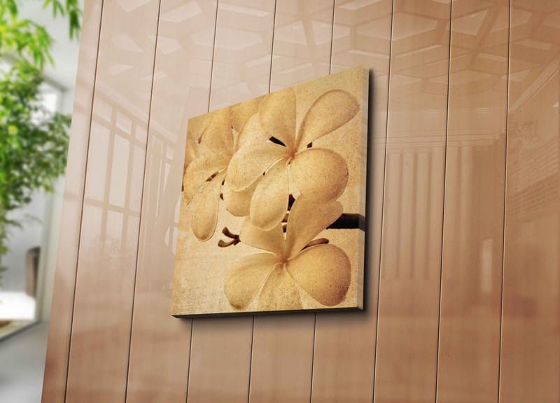 Lærredstryk 45x45 cm - Hvid orkidé med bløde kronblade - Hvid / Beige / Brun - Boligtilbehør - Billeder & kunst - Billeder på lærred