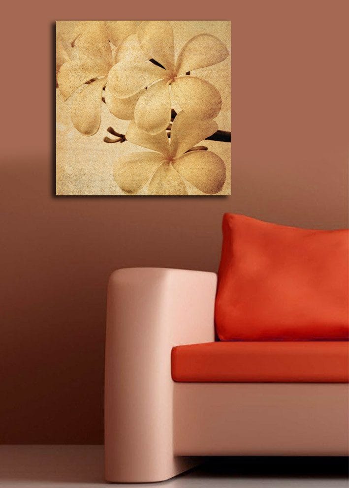 Lærredstryk 45x45 cm - Hvid orkidé med bløde kronblade - Hvid / Beige / Brun - Boligtilbehør - Billeder & kunst - Billeder på lærred